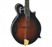Michael Kelly Legacy Deluxe E 