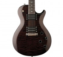 Paul Reed Smith SE Fredrik Akesson Electric Guitar - Forntida Brun