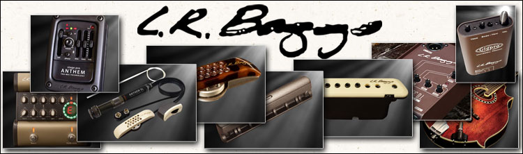 L.R. Baggs